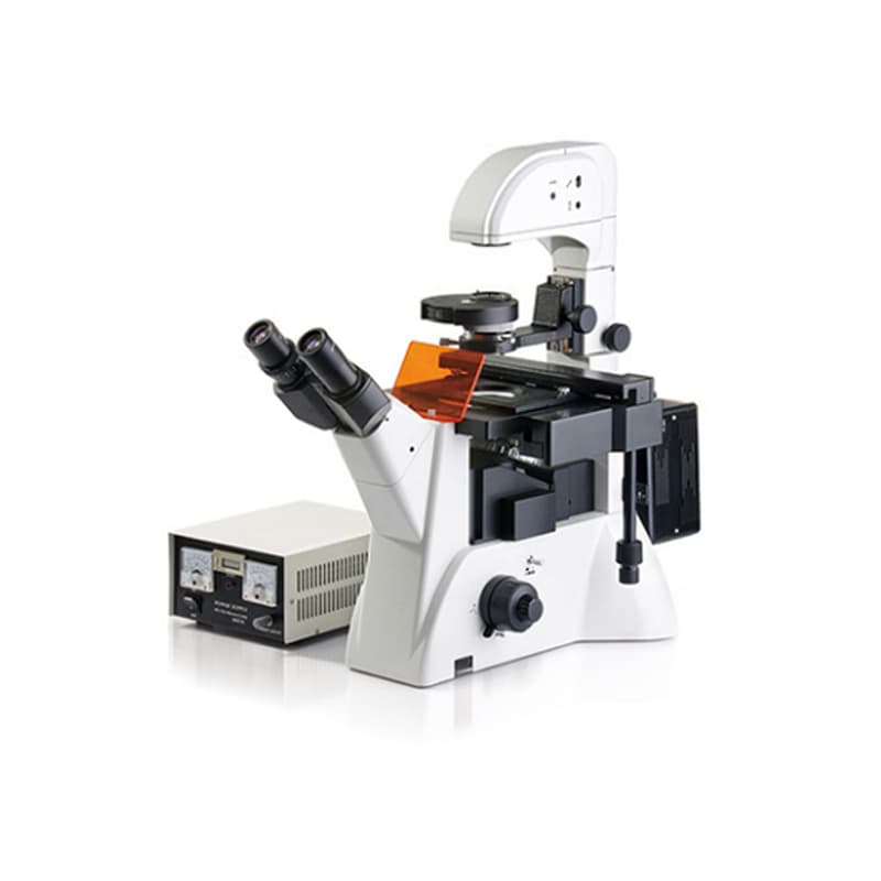 Microscópio de fluorescência invertido (personalizado)